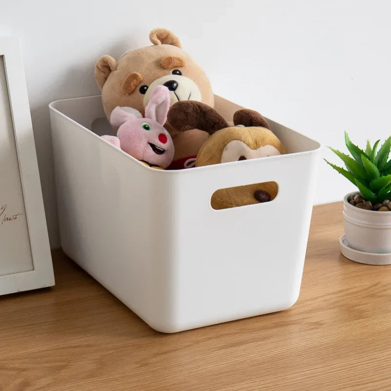 Caja de Almacenamiento de Plástico Grande